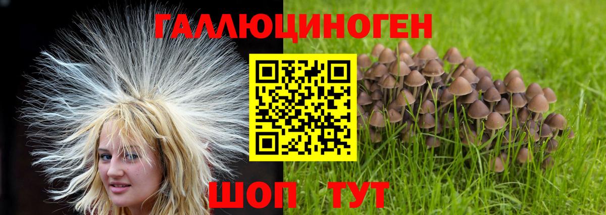 Чита  Галлюциногенные грибы мухоморы  Вход с VPN  Галлюциногенные грибы прущие грибы 