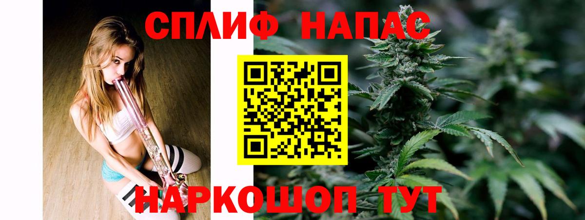 Бошки Шишки семена Чита